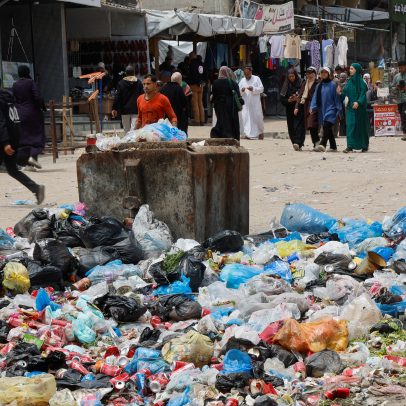 Infestação em Gaza: ratos mordem crianças e espalham doenças