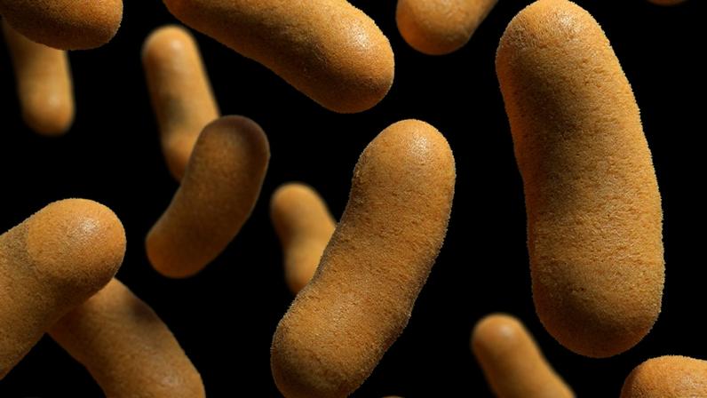 imagem mostra uma comunidade de bactérias (em cor mostarda) soltas no espaõ em um fundo preto