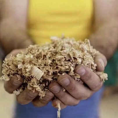 Biorreator de laboratório degrada resíduos da indústria de papel e celulose