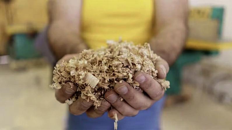 Principal resíduo da produção de papel e celulose, lignina pode ser degradada por fungos com o uso do biorreator.