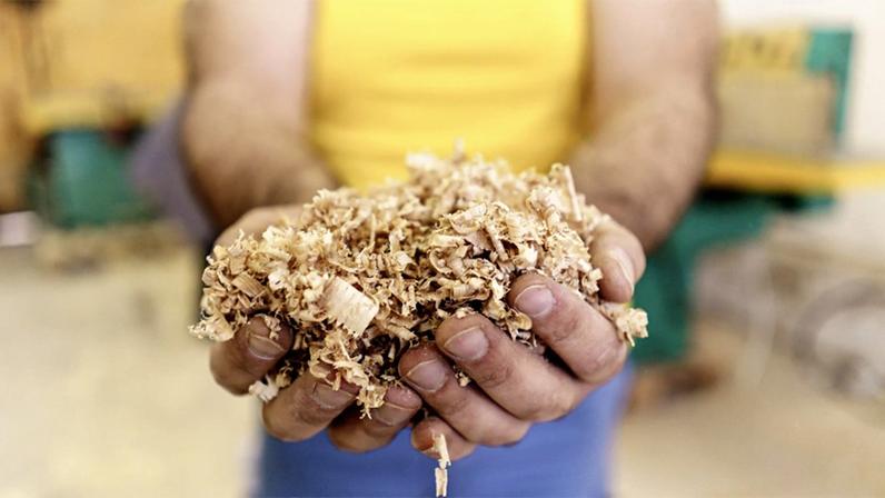 Principal resíduo da produção de papel e celulose, lignina pode ser degradada por fungos com o uso do biorreator
