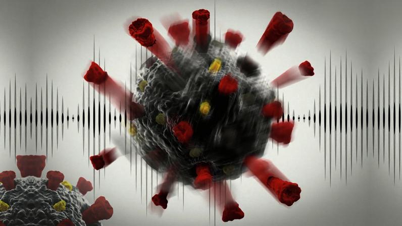 Em testes de laboratório, após a exposição ao ultrassom, vírus apresentaram sinais claros de dano, ficando menores, fragmentados, com estrutura e funcionamento comprometidos - Foto: Divulgação IFSC