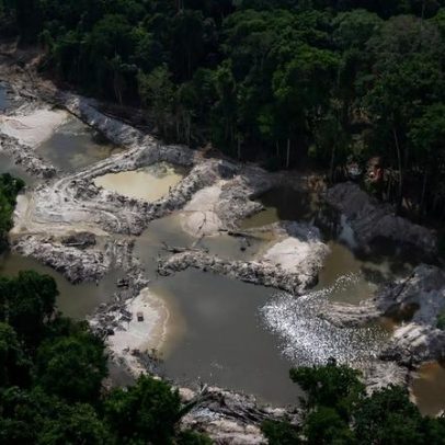 Mineração ilegal deixou vestígios de mercúrio na Mata Atlântica há 50 anos