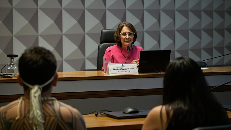 À mesa, presidente da CDH, senadora Damares Alves (Republicanos-DF), conduz audiência.
