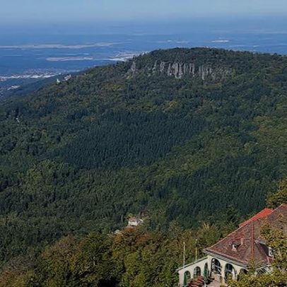 Floresta Negra: a história por trás da região no coração da Alemanha