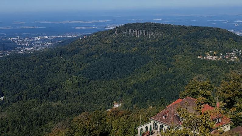 Floresta Negra: a história por trás da região no coração da Alemanha