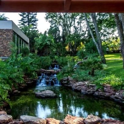 Jardim sensorial: guia para criar espaço que ativa os sentidos