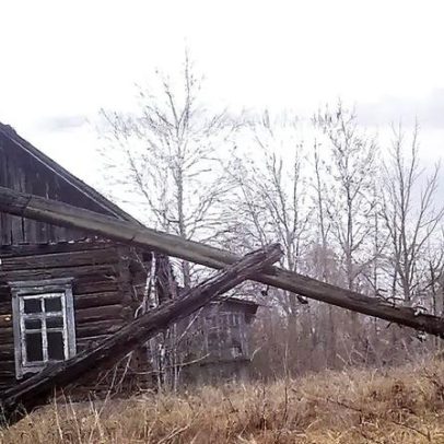 Zonas proibidas de Chernobyl e entre Coreias viram refúgios da vida selvagem