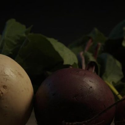 Folhas das raízes são úteis e nutrem mais que muitos alimentos