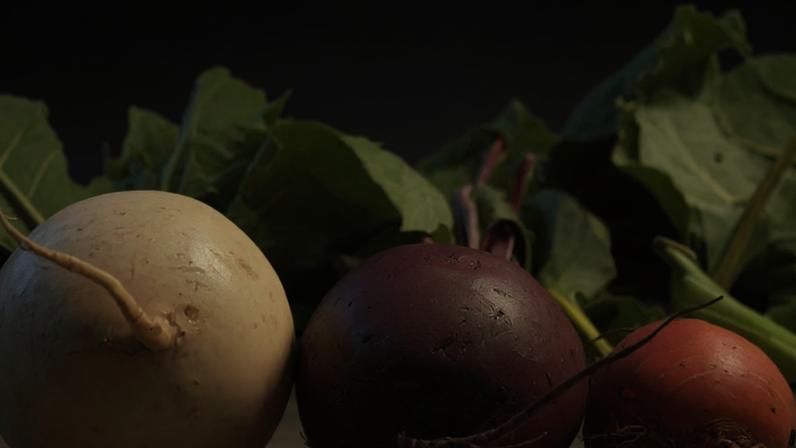 Folhas das raízes são úteis e nutrem mais que muitos alimentos