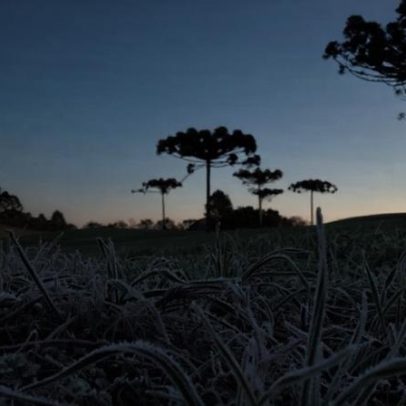 RS registra menor temperatura do ano nesta terça e geada em várias regiões