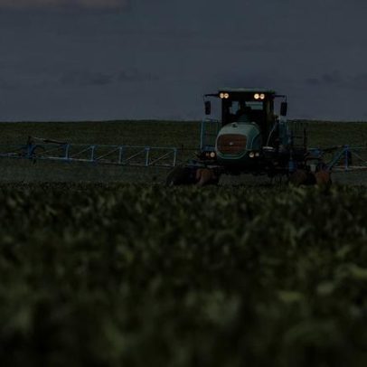 Agronegócio movimenta o mercado para driblar Plano Safra insuficiente