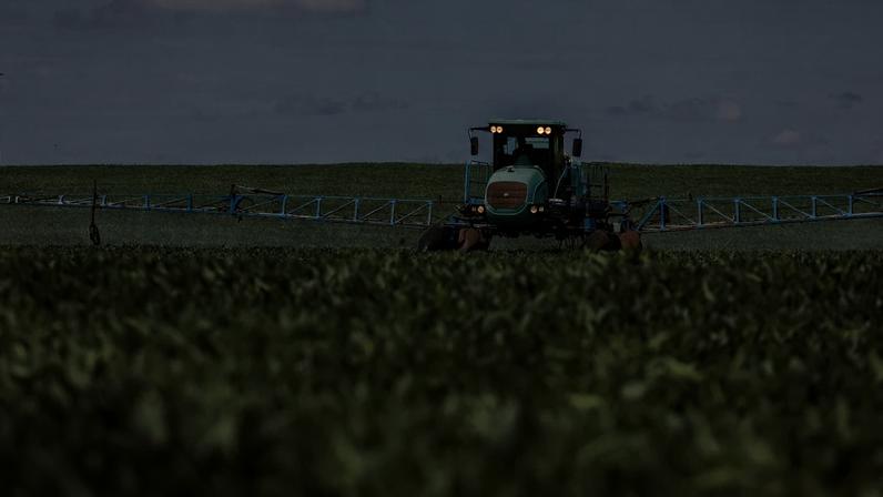NO CAMPO - Plantação de soja: força do agro brasileiro na mira dos produtores europeus