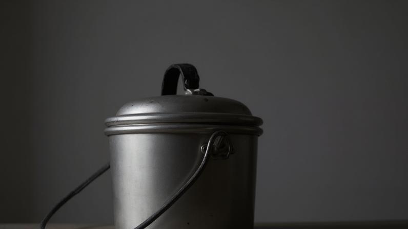 Diversidade de leites que nutrem a humanidade vai além da vaca