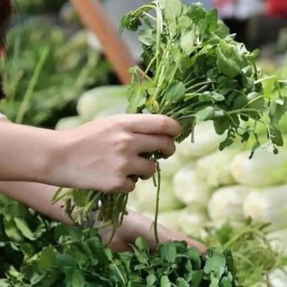 Vegetal mais saudável do mundo é vendido na feira a preço baixo e esquecido