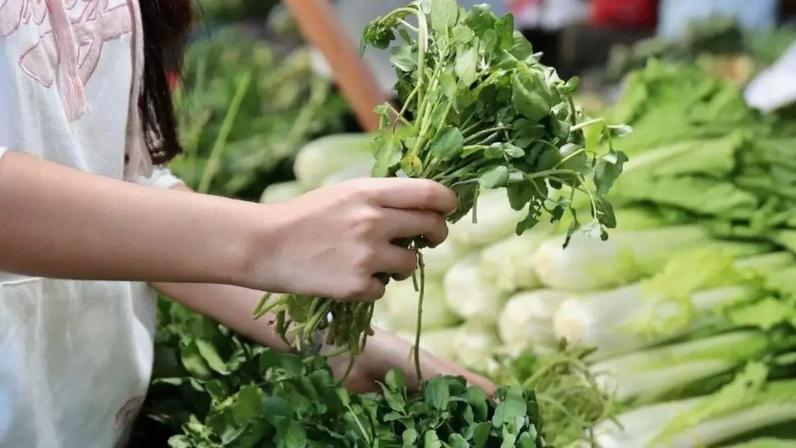O vegetal mais nutritivo do mundo é simples, barato e vive passando despercebido na feira. /