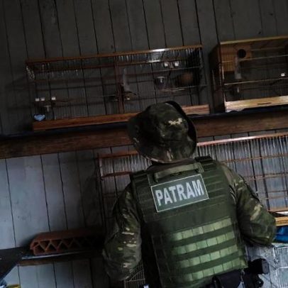 Brigada Militar resgata e apreende 30+ animais no Litoral Norte e região