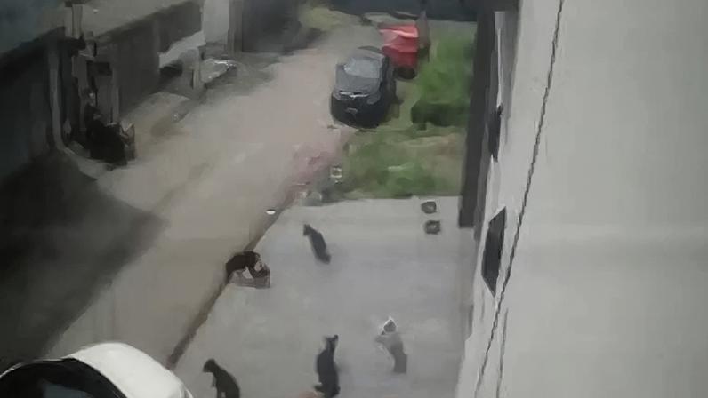 Reprodução/Globo