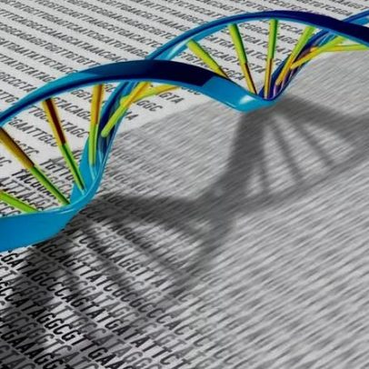 Estudo de Harvard revela que humanos ainda evoluem