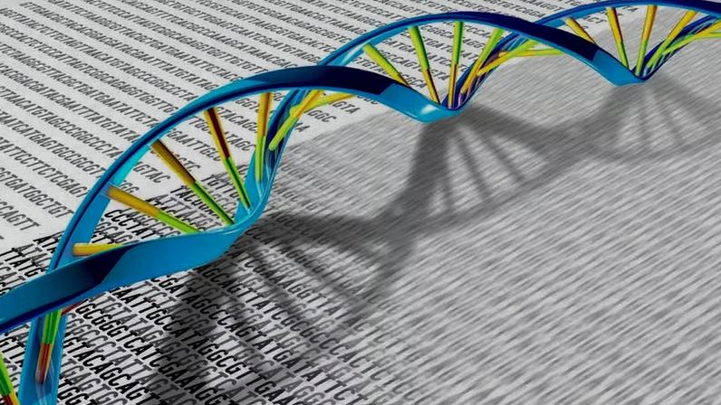 A seleção natural moldou os genomas humanos modernos muito mais do que se pensava — Foto: National Human Genome Research Institute/Flickr
