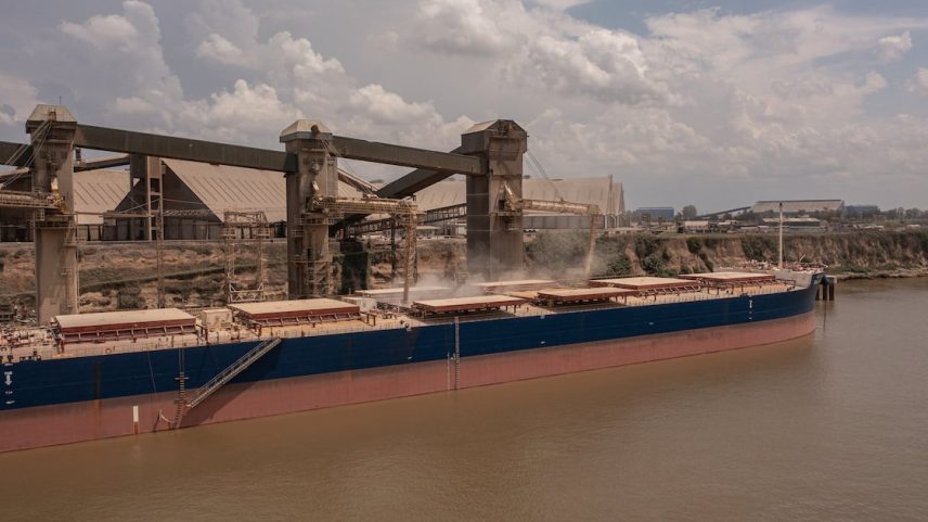 Argentina se prepara para enviar primeiro carregamento de milho à China em 15 anos