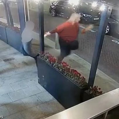 Ativista invade restaurante, resgata lagosta e a devolve ao mar por engano