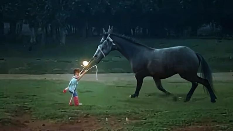 Menina campeã do laço cai ao cair do cavalo; mãe desabafa