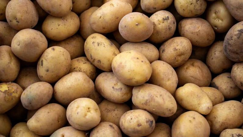 Batatas