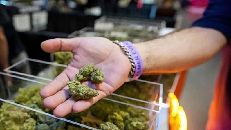 Marijuana’s reclassification at a lower tier will not immediately legalize it.