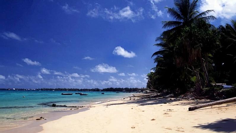 Microplásticos encontrados em peixes em Tuvalu, Pacífico Sul