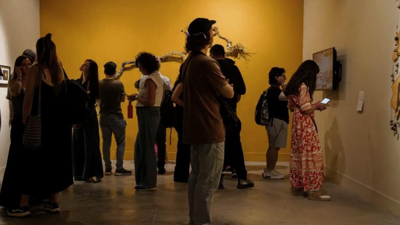 Divulgação SURA / DINO