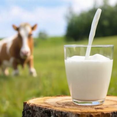 Leite é necessário para adultos? especialistas discutem recomendações