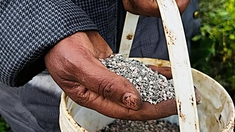 Inflação de alimentos persiste e afeta o orçamento das famílias