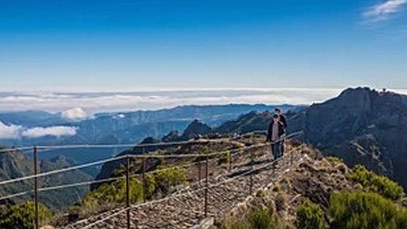 Conservação da natureza: avanços e desafios em políticas ambientais