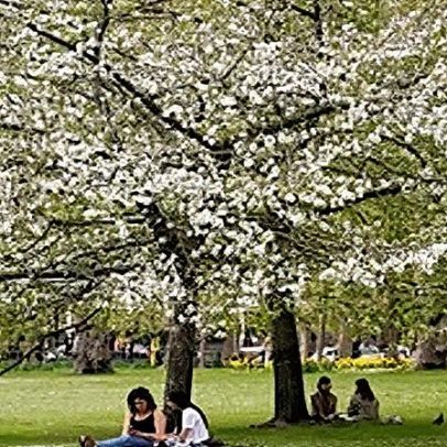 Spring: atualizações e novidades sobre o tema em evidência