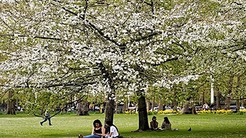 Spring: atualizações e novidades sobre o tema em evidência