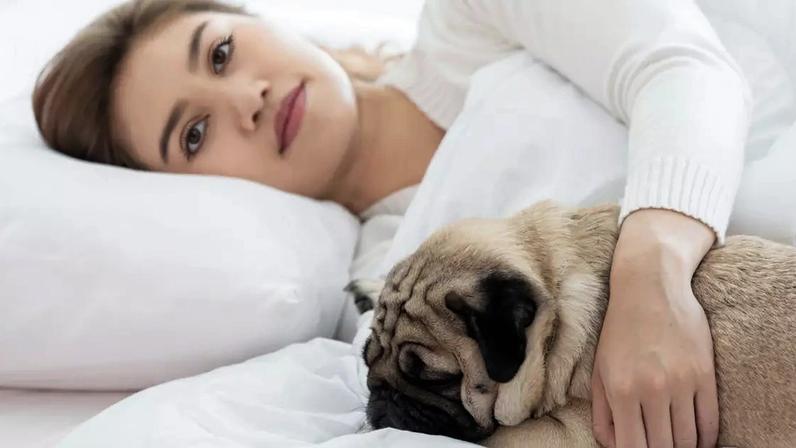 Pesquisadora analisou diferentes estudos para entender os efeitos para o sono e para a saúde emocional de dormir com o pet