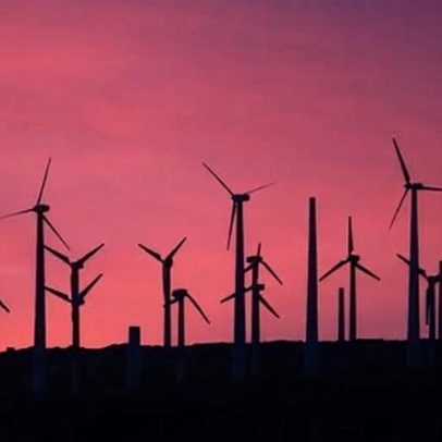 Juiz suspende restrições da administração Trump a projetos eólicos e solares