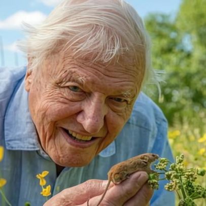 David Attenborough completa 100 anos, compartilhe suas memórias