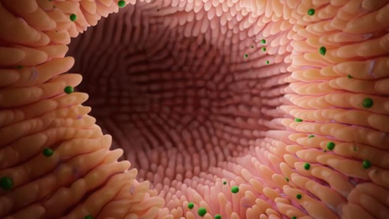 The signature changes to the microbiome could help doctors spot patients at risk of Parkinson’s years before they display clear symptoms.