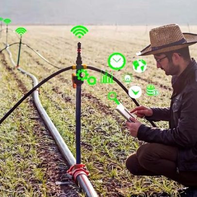Pesquisa mostra desafios e saídas para plataformas digitais no campo
