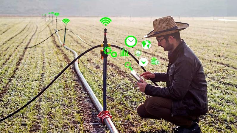 Tecnologia aplicada ao campo com dispositivos e softwares de gestão, ilustrando a digitalização na agroindústria.