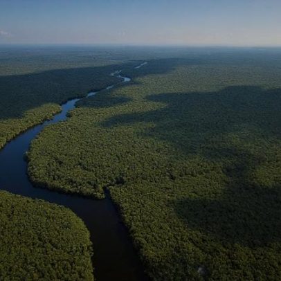 Amazônia pode sofrer colapso climático devido à seca e aos incêndios