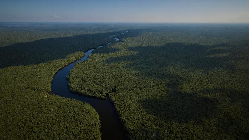 Amazônia enfrenta secas mais longas e aumento do risco de incêndios florestais (Imagem: Getty Images via Canva)
