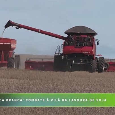 Agro Record 05/04/26: Bloco 02 traz atualizações