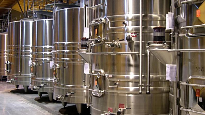 Excesso de vinho: nova destilação começa no vinhedo francês