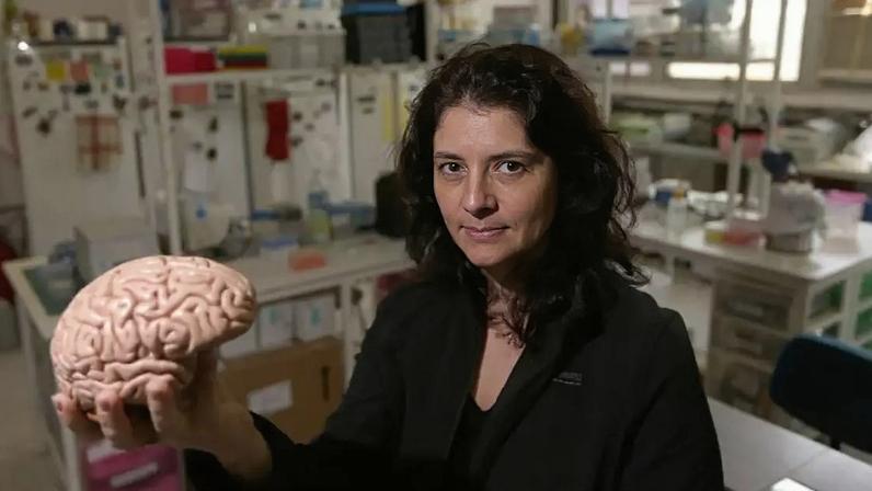 A neurocientista Suzana Herculano-Houzel, palestrante no São Paulo Innovation Week, afirma que terceirizar decisões significa abrir mão de desenvolver o próprio cérebro.