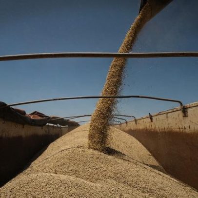 Gigantes do agro compram primeira esmagadora de soja no Matopiba