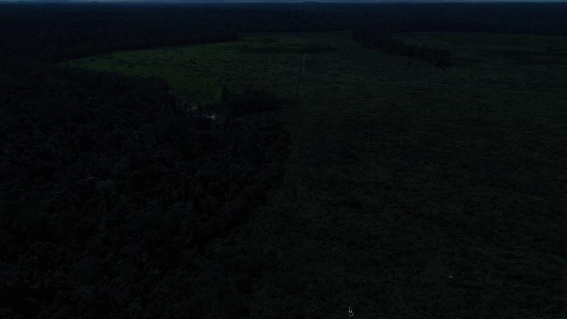 Levantamento global do World Resources Institute e Universidade de Maryland mostra que País teve menor perda de cobertura florestal primária desde o início da série histórica, em 2002
