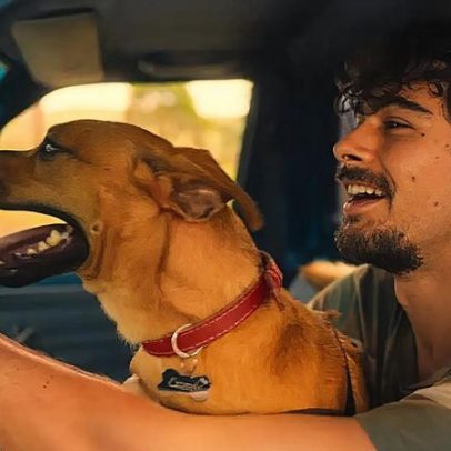 México reconhece cão caramelo como raça mexicana e brasileiros reagem